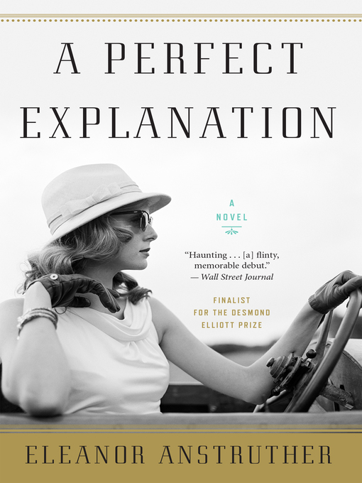 Title details for A Perfect Explanation by Eleanor Anstruther - Available